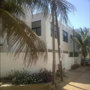 Hibiscus Dakar